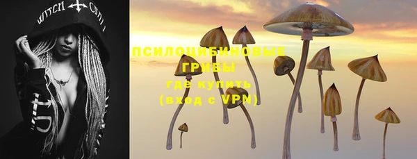 бошки Волоколамск